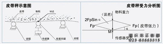 高精度陣列式皮帶秤